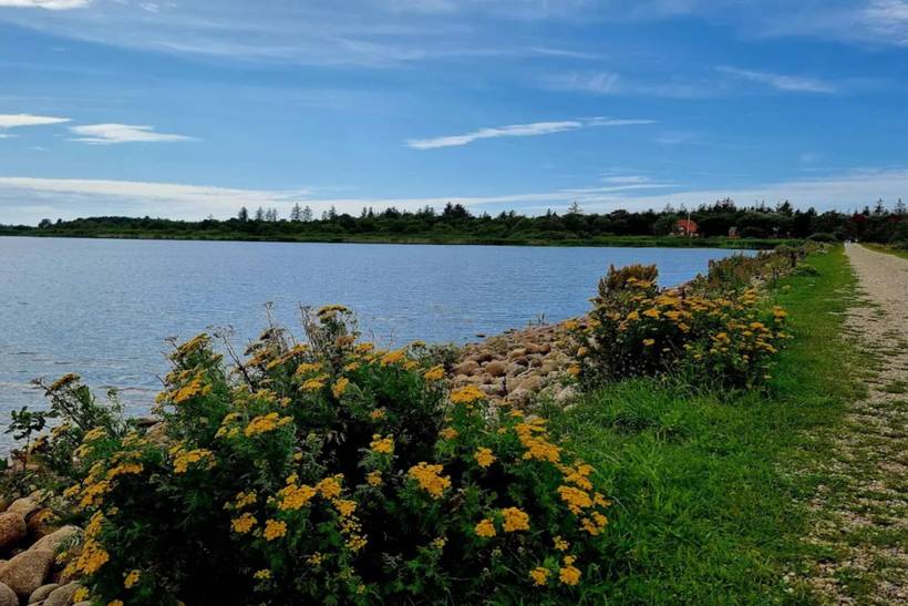 Foto von Ferienhaus AA36 in Henne Strand - Westjütland