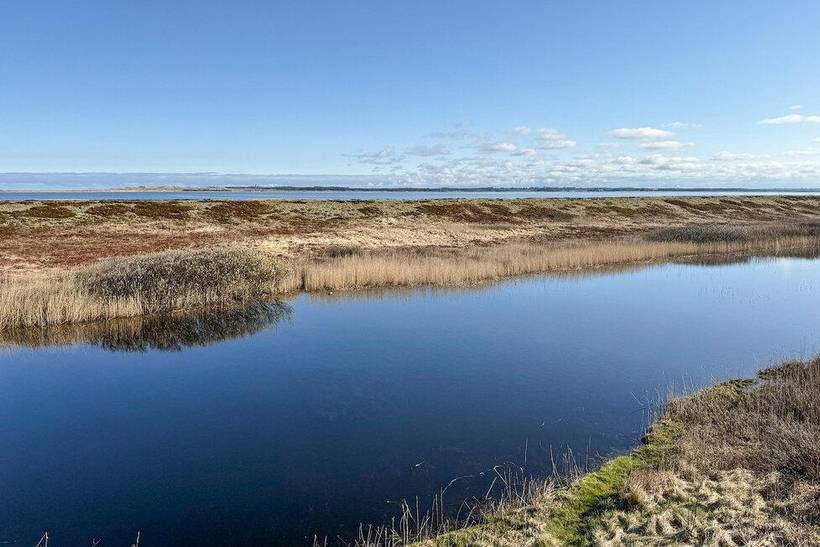 Foto von Ferienhaus AA47 in Agger - Thy/Limfjord