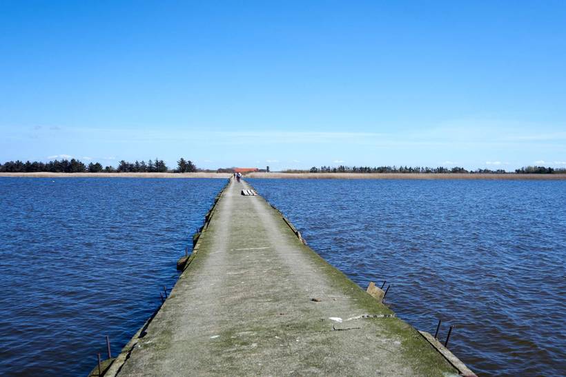 Foto von Ferienhaus AA48 in Ringkøbing - Westjütland
