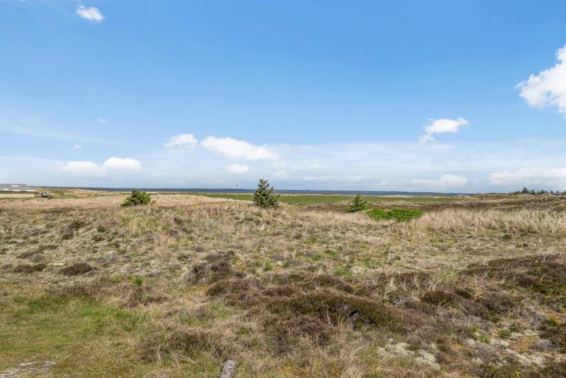 Foto von Ferienhaus AA91 in Årgab - Westjütland