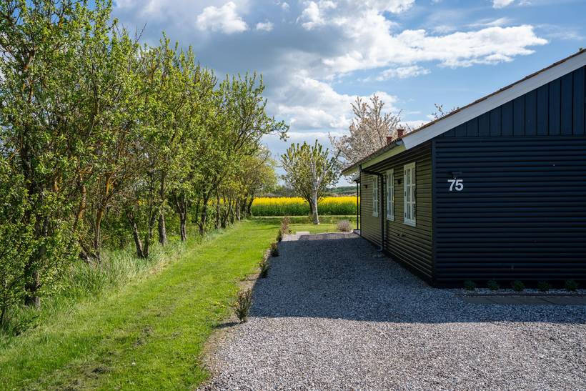 Foto von Ferienhaus AB35 in Bogense - Nordfünen