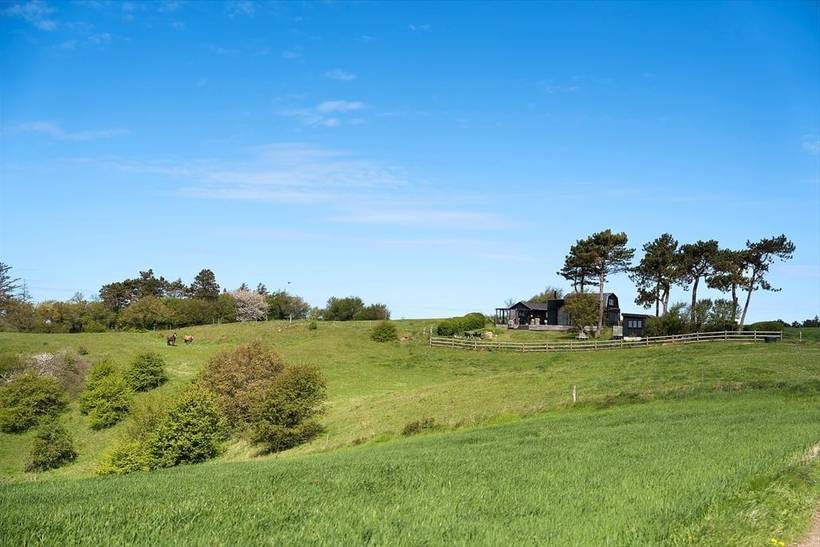 Foto von Ferienhaus AB37 auf Samsø