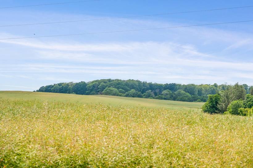 Foto von Ferienhaus AB43 in Mols - Ostjütland