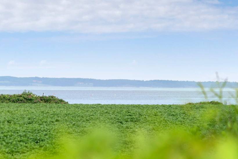 Foto von Ferienhaus AB62 in Handbjerg - Thy/Limfjord