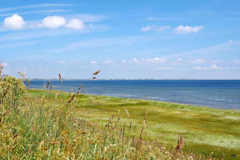 Foto von Ferienhaus AB81 auf Mors - Thy/Limfjord