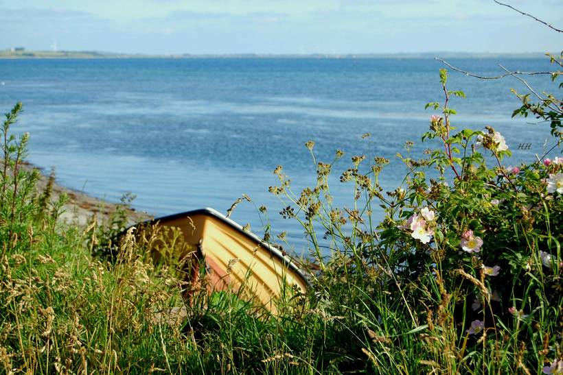Foto von Ferienhaus AB81 auf Mors - Thy/Limfjord