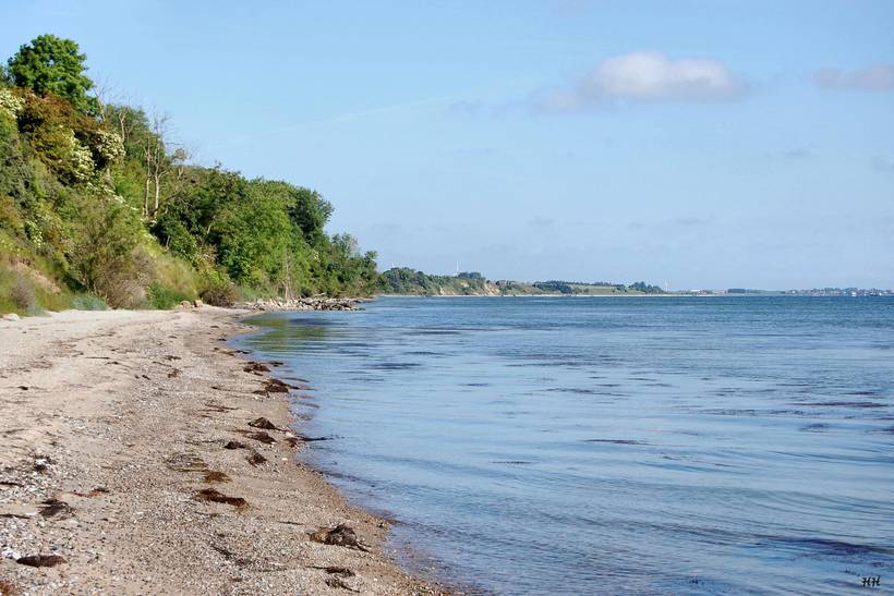 Foto von Ferienhaus AB81 auf Mors - Thy/Limfjord