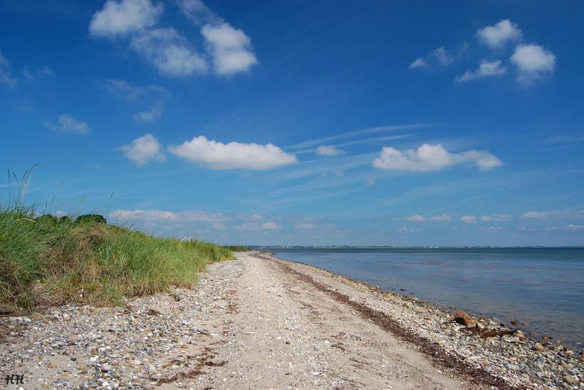 Foto von Ferienhaus AB81 auf Mors - Thy/Limfjord