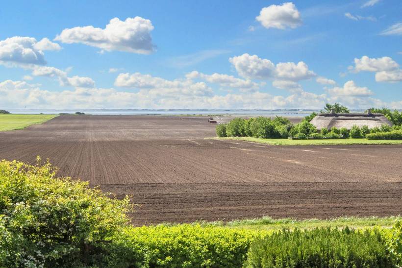 Foto von Ferienhaus AC43 in Søndervig - Westjütland