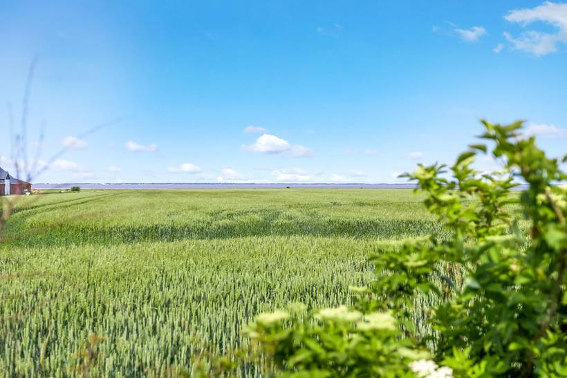 Foto von Ferienhaus AC63 in Ballum - Südjütland