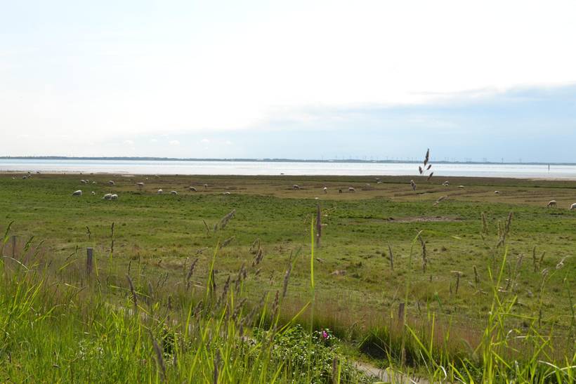 Foto von Ferienhaus AC76 in Havneby - Rømø