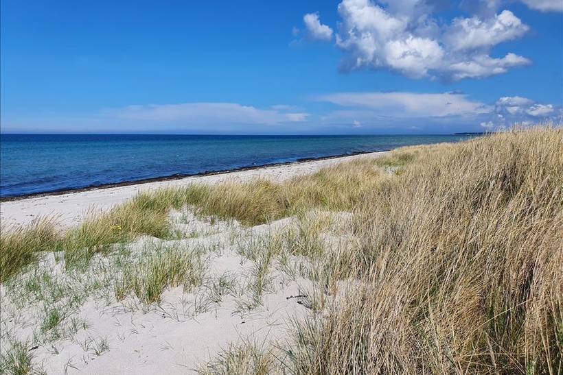 Foto von Ferienhaus AC78 in Nordstrand - Rørvig - Westseeland