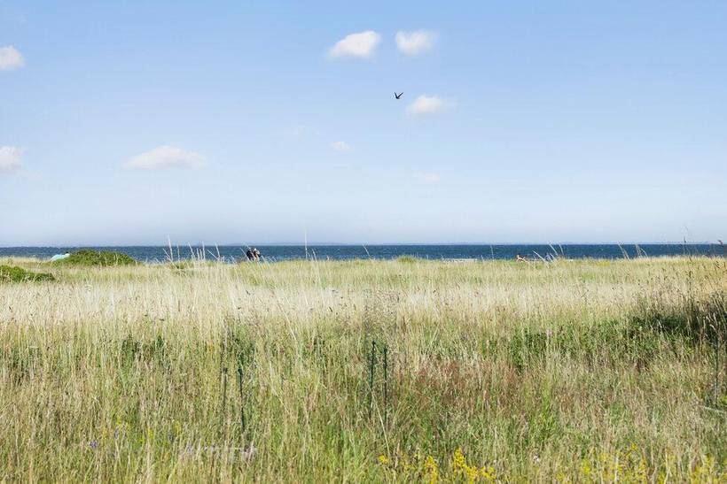 Foto von Ferienhaus AD04 in Lohals - Langeland