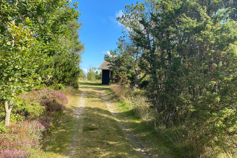 Foto von Ferienhaus AD54 in Sæby - Lyngså - Nordjütland Ost