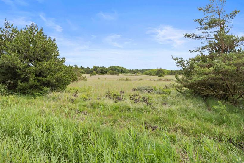 Foto von Ferienhaus AD90 in Bolilmark - Rømø