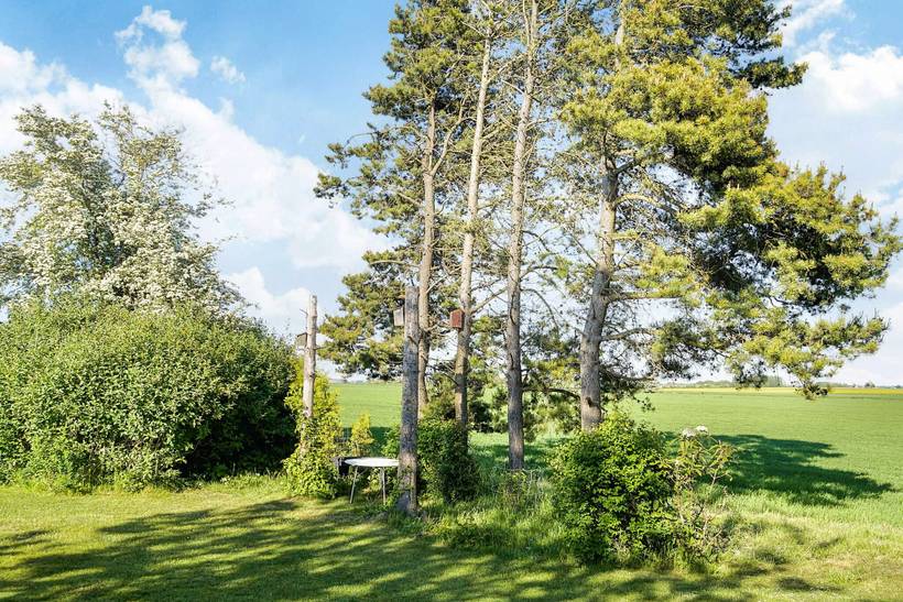 Foto von Ferienhaus AE09 in Kongsmark - Westseeland