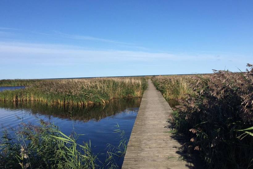 Foto von Ferienhaus AE10 in Sejerø Bugt - Westseeland
