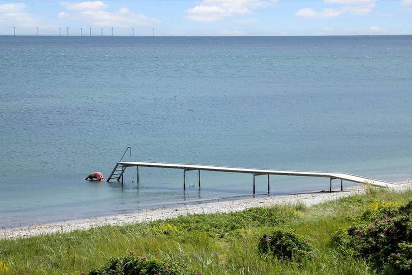 Foto von Ferienhaus AF89 in Ajstrup - Odder - Ostjütland