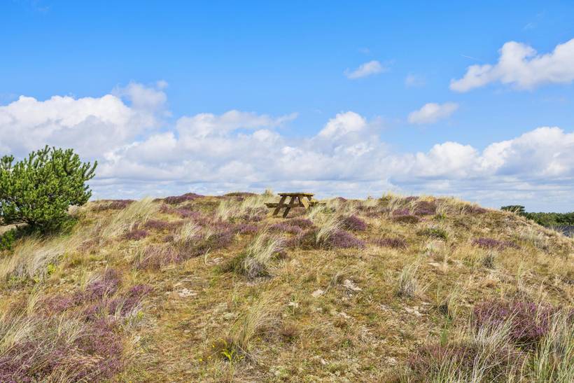 Foto von Ferienhaus AG67 in Rindby - Fanø