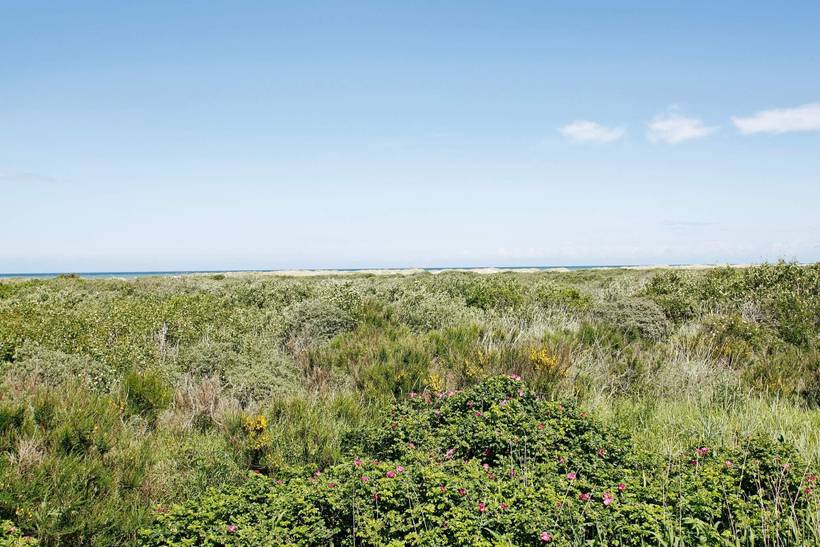 Foto von Ferienhaus AG86 in Skagen - Nordjütland