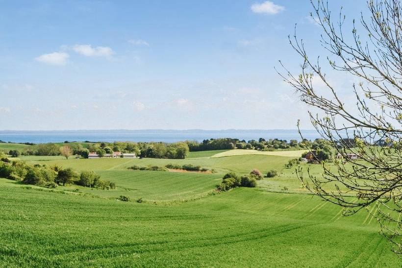 Foto von Ferienhaus AH17 in Sjællands Odde - Westseeland