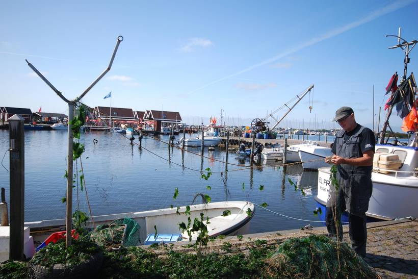 Foto von Ferienhaus AH65 in Bork Havn - Westjütland