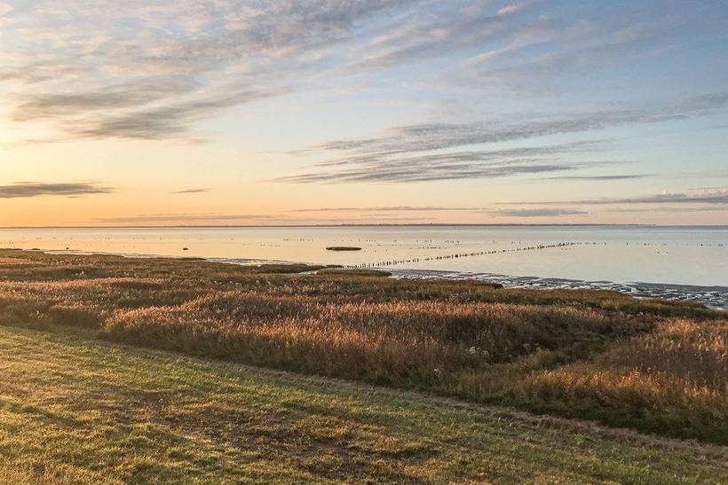 Foto von Ferienhaus AH67 in Bolilmark - Rømø