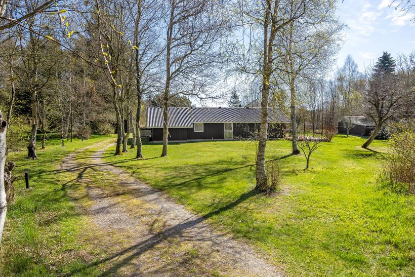 Foto von Ferienhaus AH99 in Bunken - Ålbæk - Nordjütland Ost