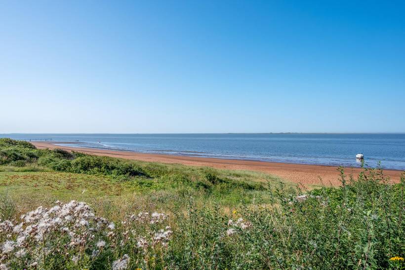 Foto von Ferienhaus AI55 in Esbjerg - Westjütland