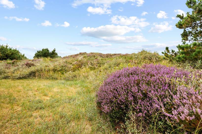 Foto von Ferienhaus AI64 in Henne Strand - Westjütland