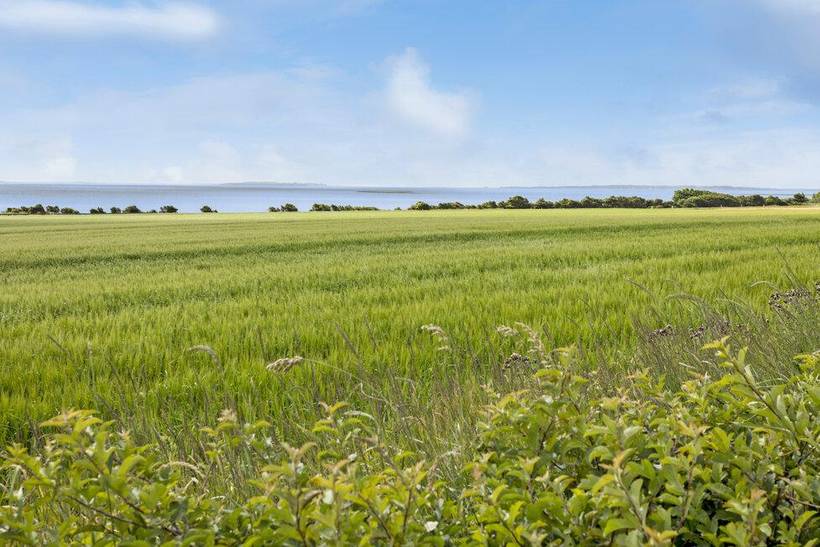 Foto von Ferienhaus AJ40 in Amtoft Feggesund - Thy/Limfjord