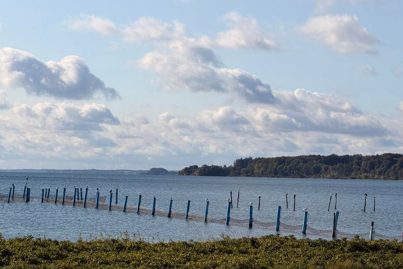Foto von Ferienhaus AJ83 in Diernæs - Südjütland