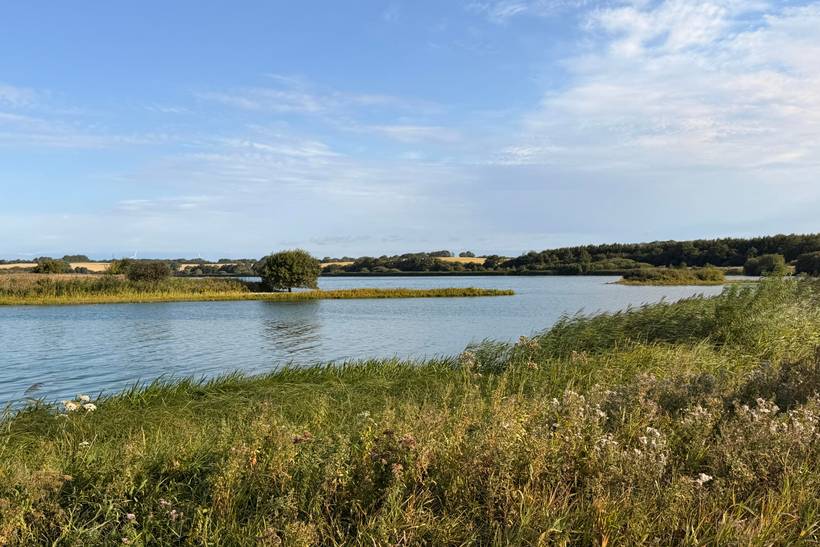 Foto von Ferienhaus AJ83 in Diernæs - Südjütland