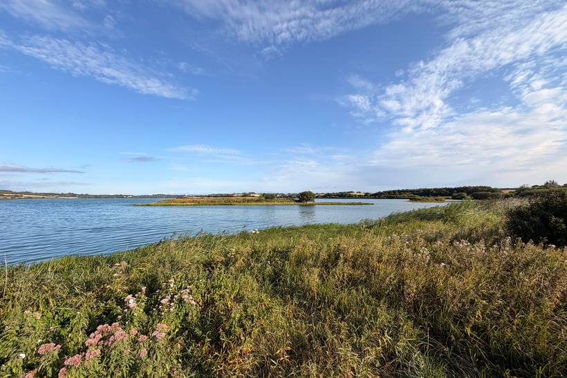 Foto von Ferienhaus AJ83 in Diernæs - Südjütland