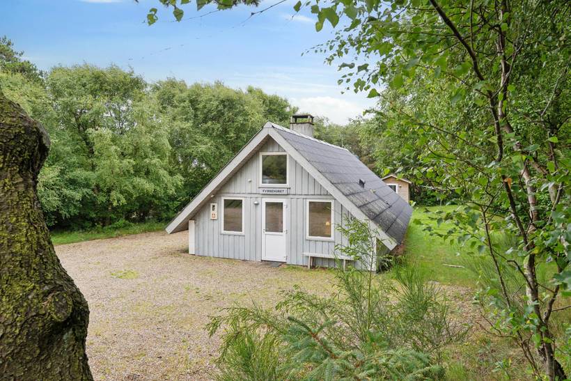 Foto von Ferienhaus AJ84 in Lodbjerg Hede - Søndervig - Westjütland