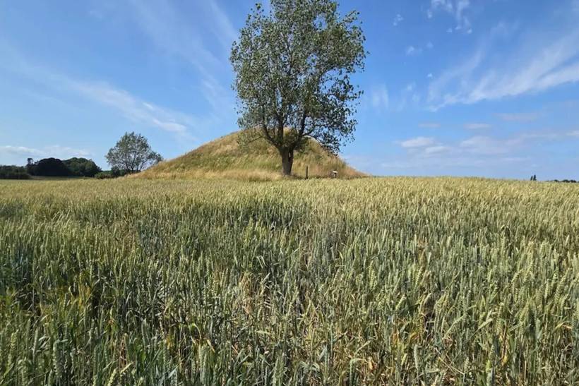 Foto von Ferienhaus AJ90 in Midskov - Kerteminde - Nordfünen