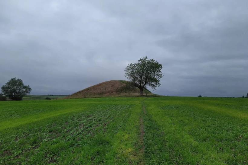 Foto von Ferienhaus AJ90 in Midskov - Kerteminde - Nordfünen