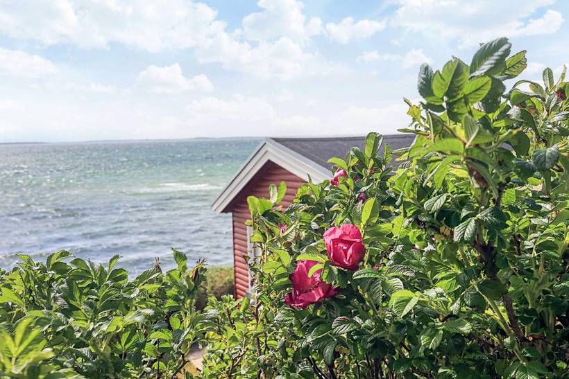 Foto von Ferienhaus AJ90 in Midskov - Kerteminde - Nordfünen