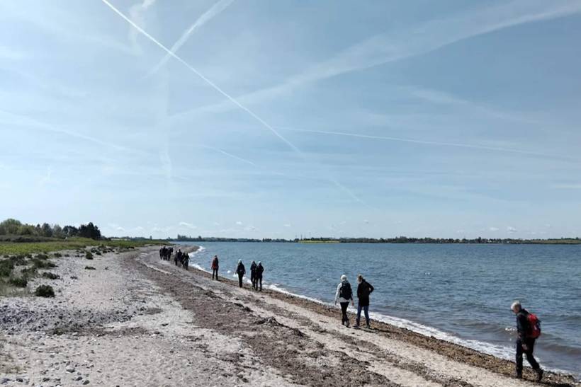 Foto von Ferienhaus AJ90 in Midskov - Kerteminde - Nordfünen