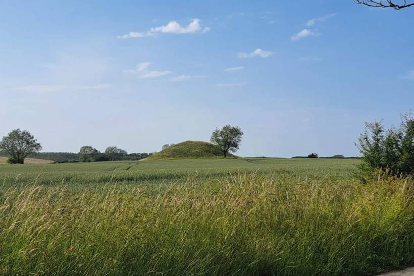 Foto von Ferienhaus AJ90 in Midskov - Kerteminde - Nordfünen