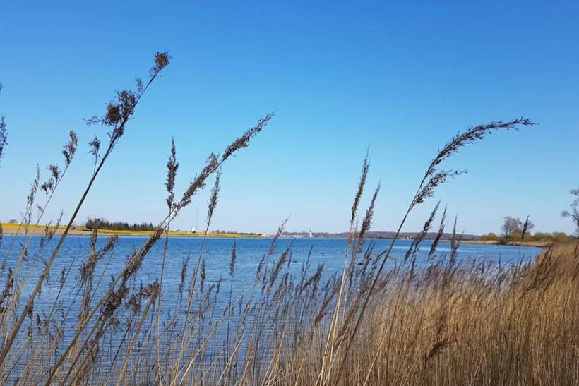 Foto von Ferienhaus AJ90 in Midskov - Kerteminde - Nordfünen