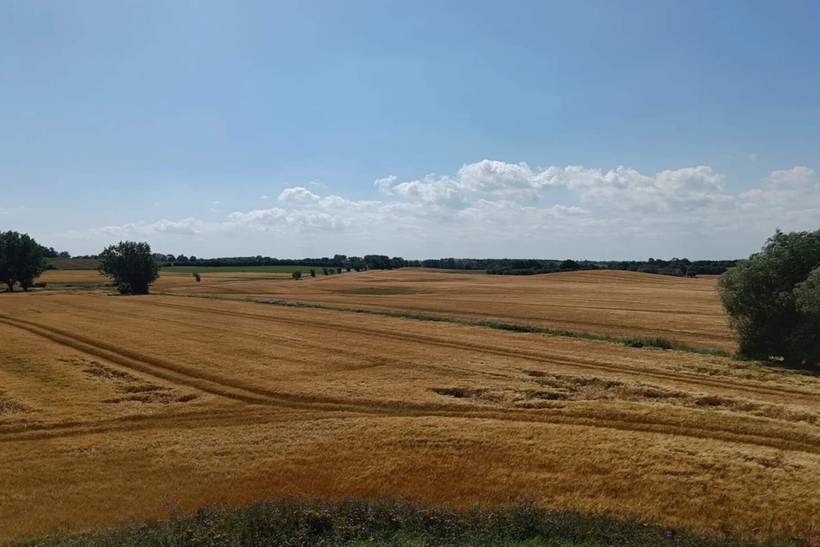 Foto von Ferienhaus AJ90 in Midskov - Kerteminde - Nordfünen