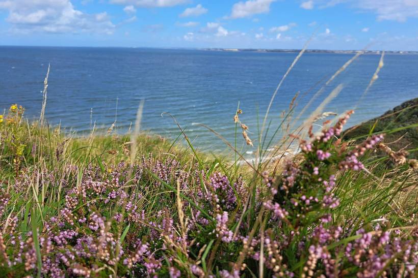 Foto von Ferienhaus AJ91 in Toftum Bjerge - Thy/Limfjord