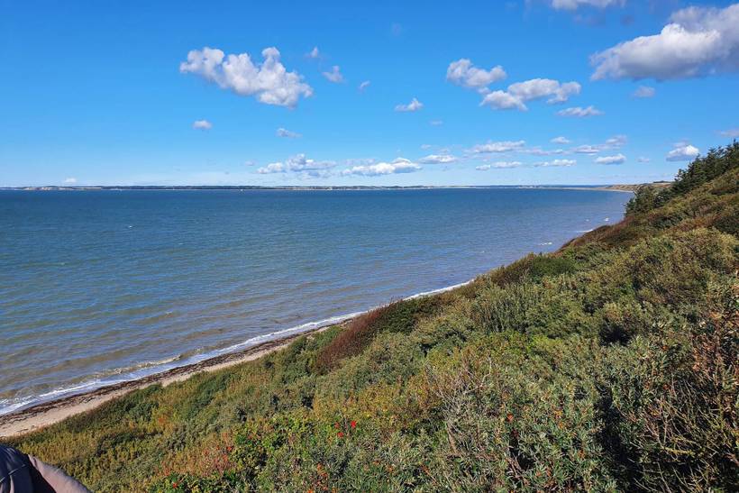 Foto von Ferienhaus AJ91 in Toftum Bjerge - Thy/Limfjord
