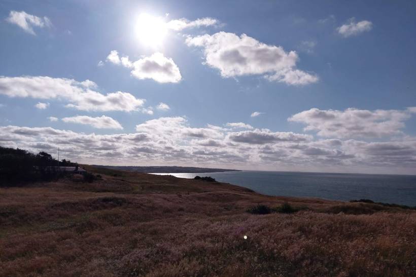 Foto von Ferienhaus AJ91 in Toftum Bjerge - Thy/Limfjord