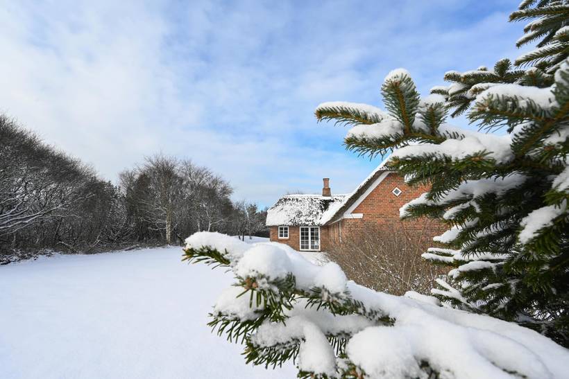 Foto von Ferienhaus AJ99 in Vester Husby - Westjütland