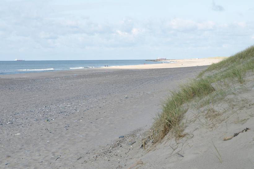 Foto von Ferienhaus AK02 in Vrist - Vejlby Klit - Westjütland