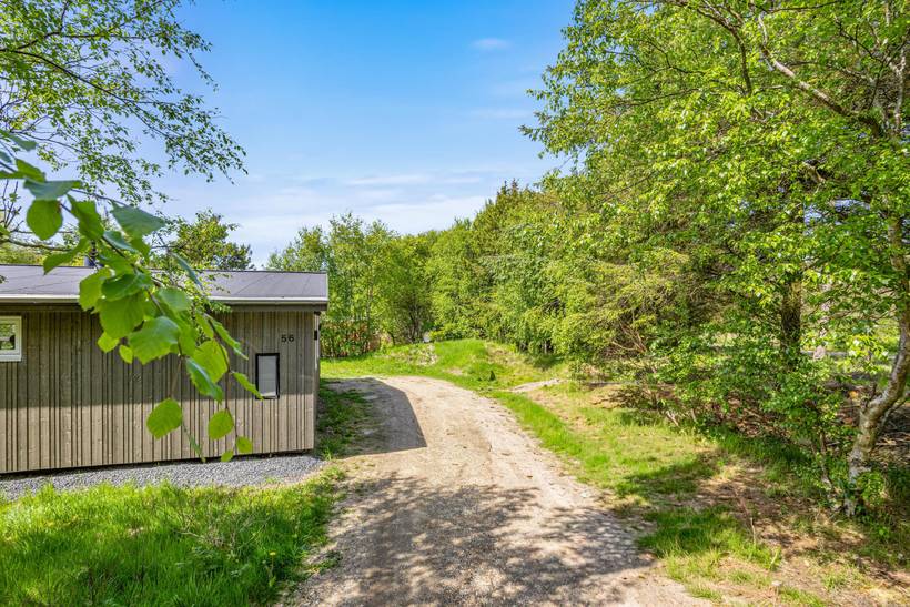 Foto von Ferienhaus AK49 in Lodbjerg Hede - Søndervig - Westjütland