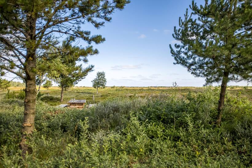 Foto von Ferienhaus AK53 in Kongsmark - Rømø