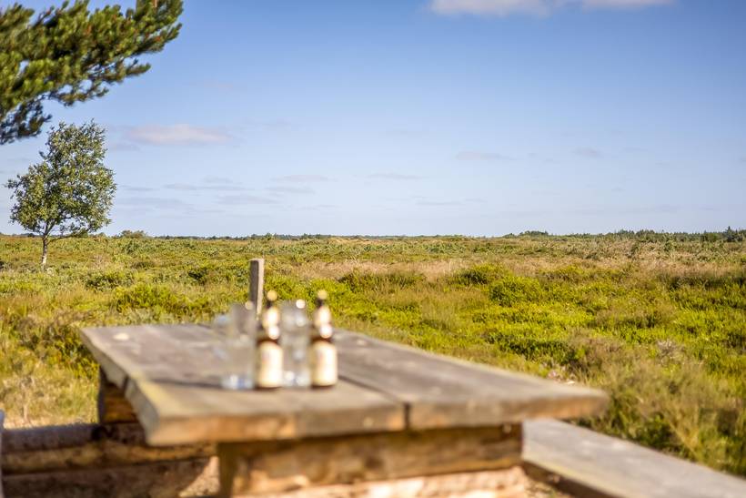 Foto von Ferienhaus AK53 in Kongsmark - Rømø
